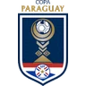 Copa Paraguay