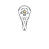Copa Sudamericana
