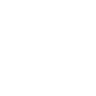 FIFA Series