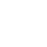 Slovenian Cup
