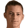 Diego Tarzia