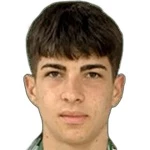 M. Georgiev