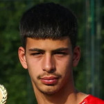 Nemanja Vidojevic