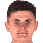 K. Dziedzic