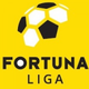 Slovak Super Liga