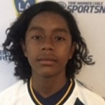 Sebastian Nava