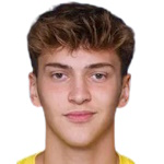 K. Abazovic