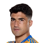 N. Ibanez