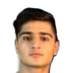 M. Hasheminasab