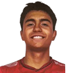 Nicolas Villarroel