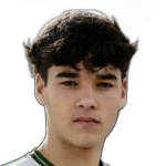 Afonso Assis
