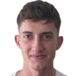 P. Mirvald