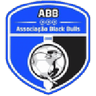 View Black Bulls Maputo page Black Bulls Maputo