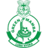 View Green Mamba page Green Mamba